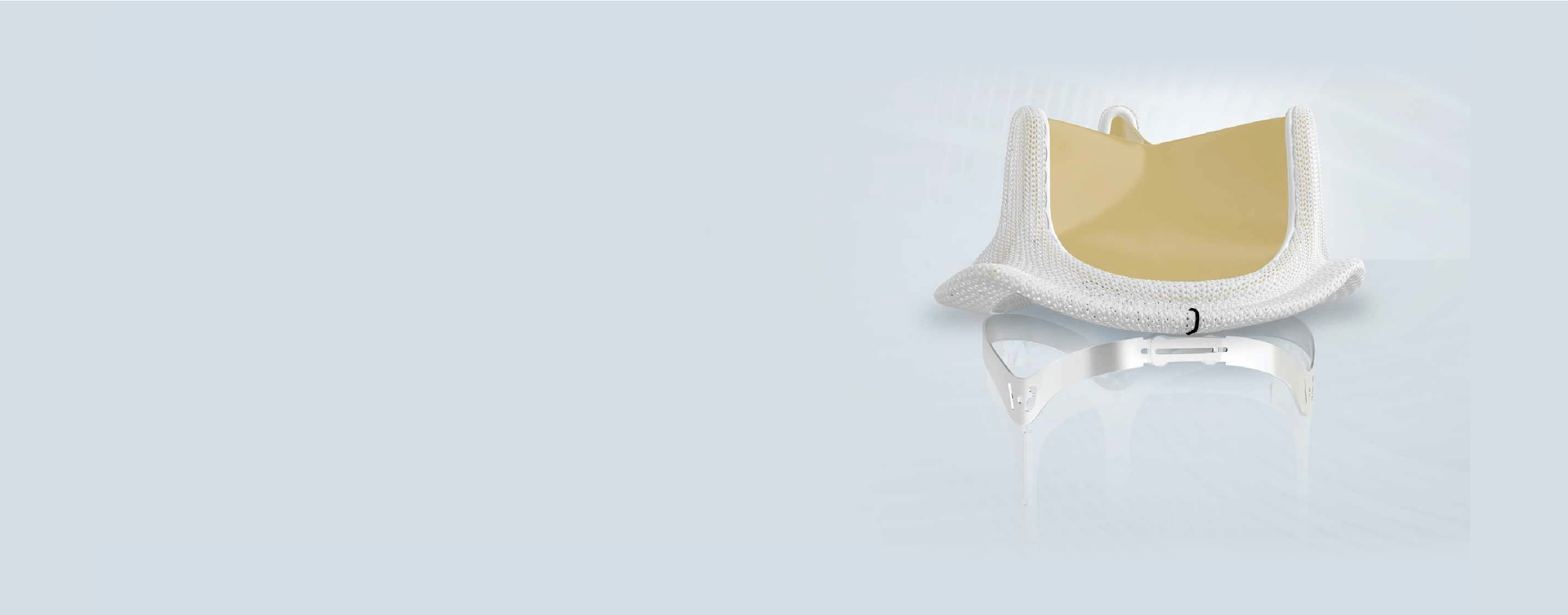 MITRIS RESILIA heart valve