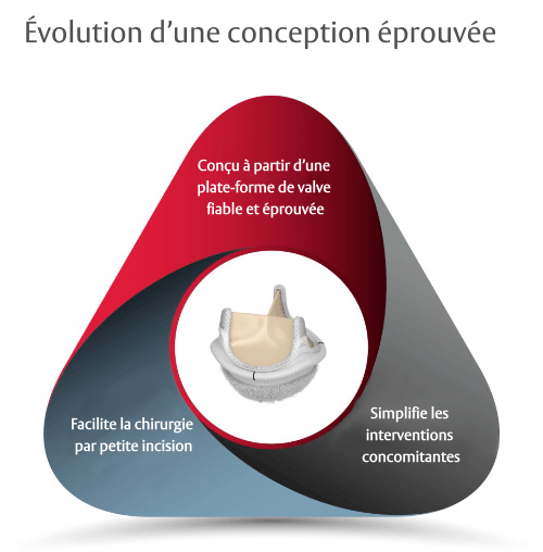 evolution diagram