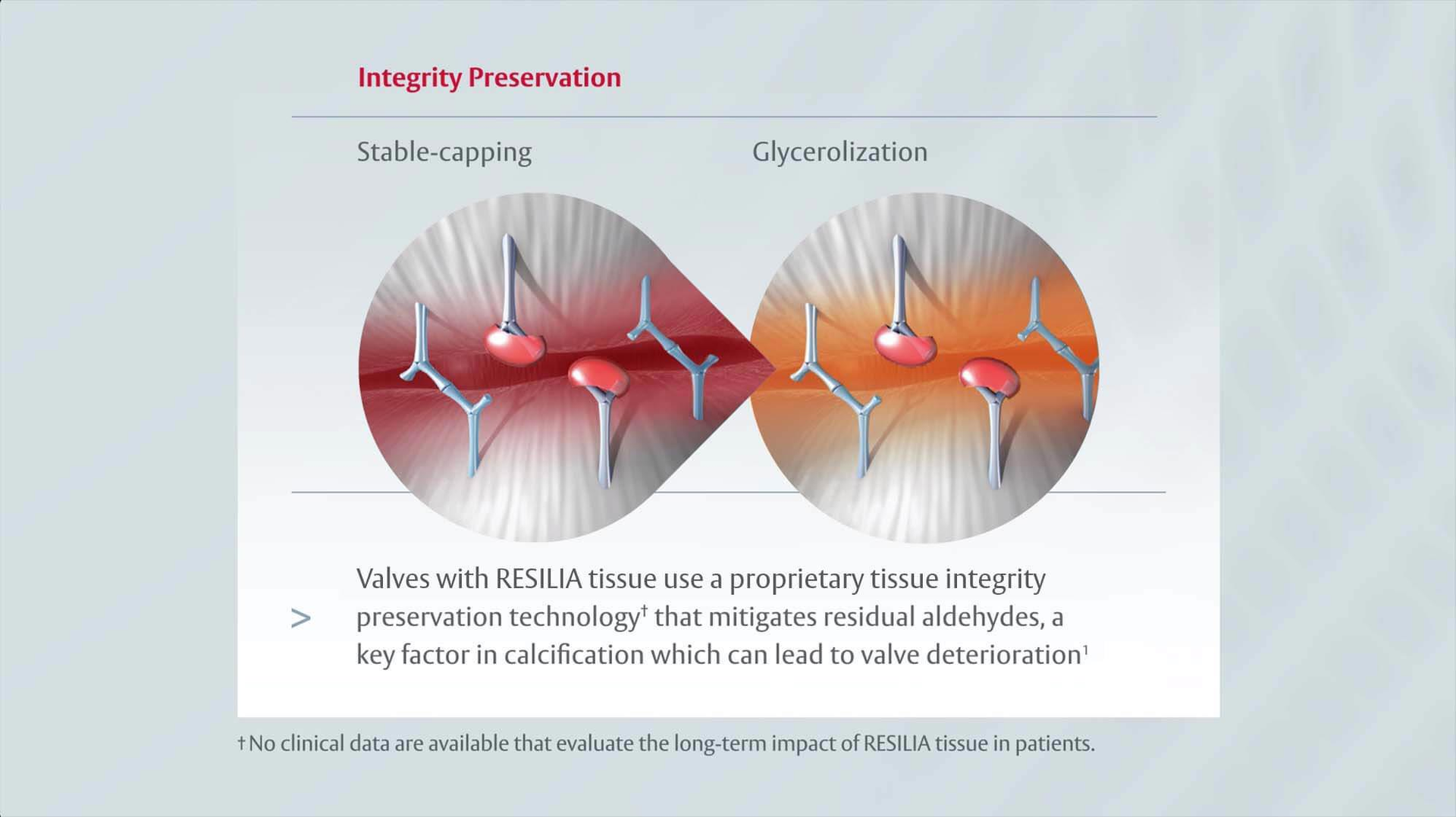 integrity preservation