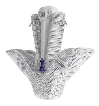 Image of PASCAL Ace