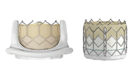 Transcatheter SAPIEN 3 TAVR product 1 image