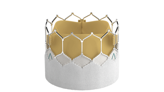 thv valve