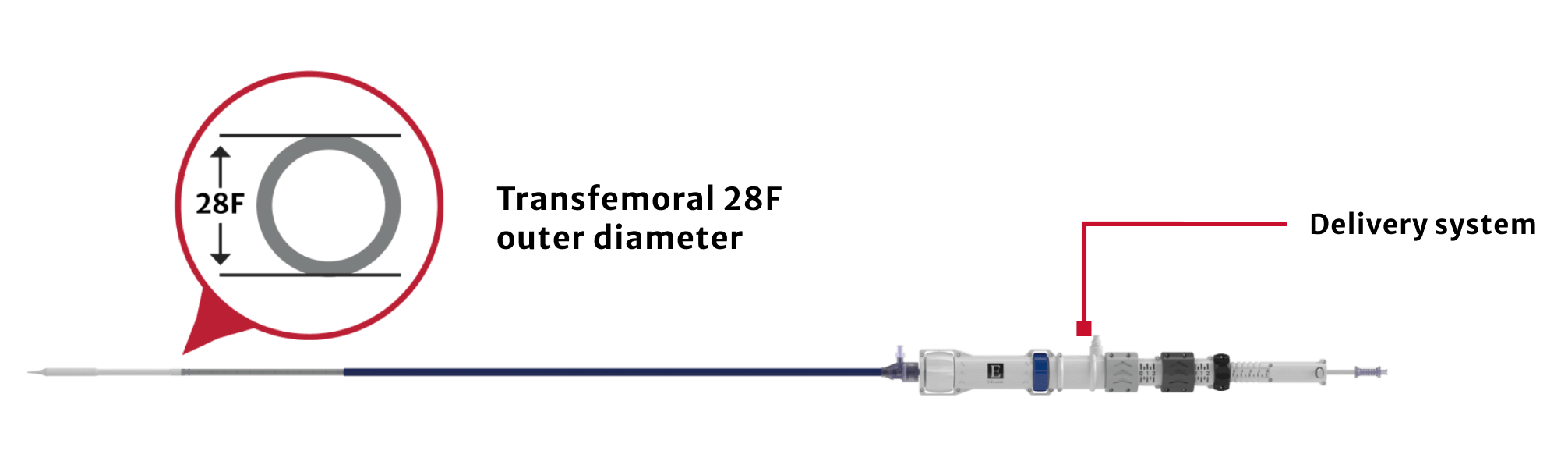 Transfemoral 28F Device