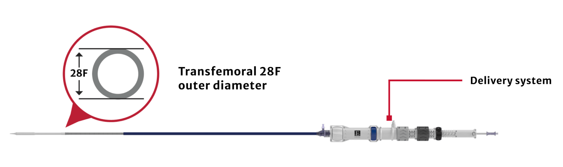 Transfemoral 28F Device