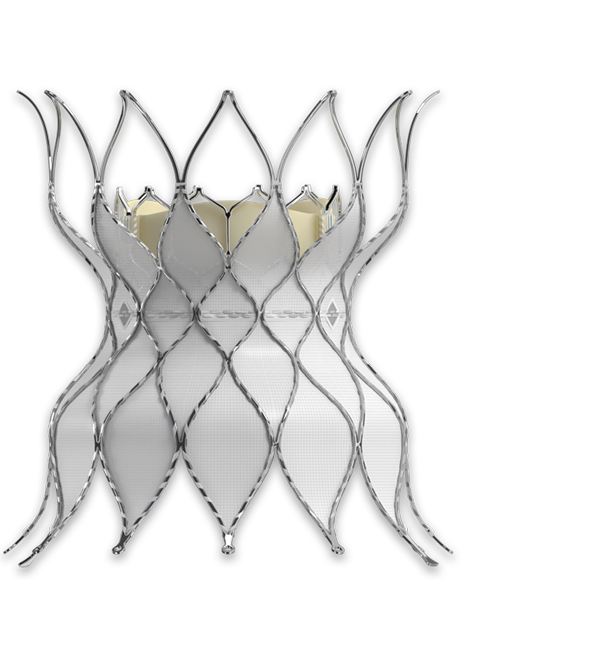 Transcatheter Pulmonary Valve