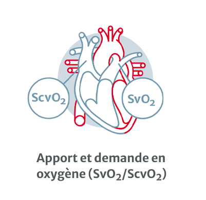 Oxygen supply & demand