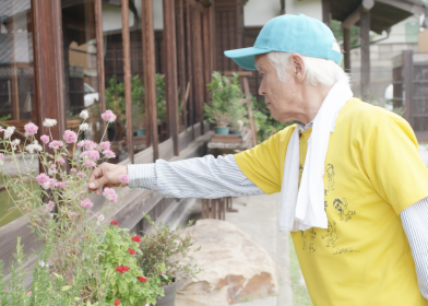 Cook flowers