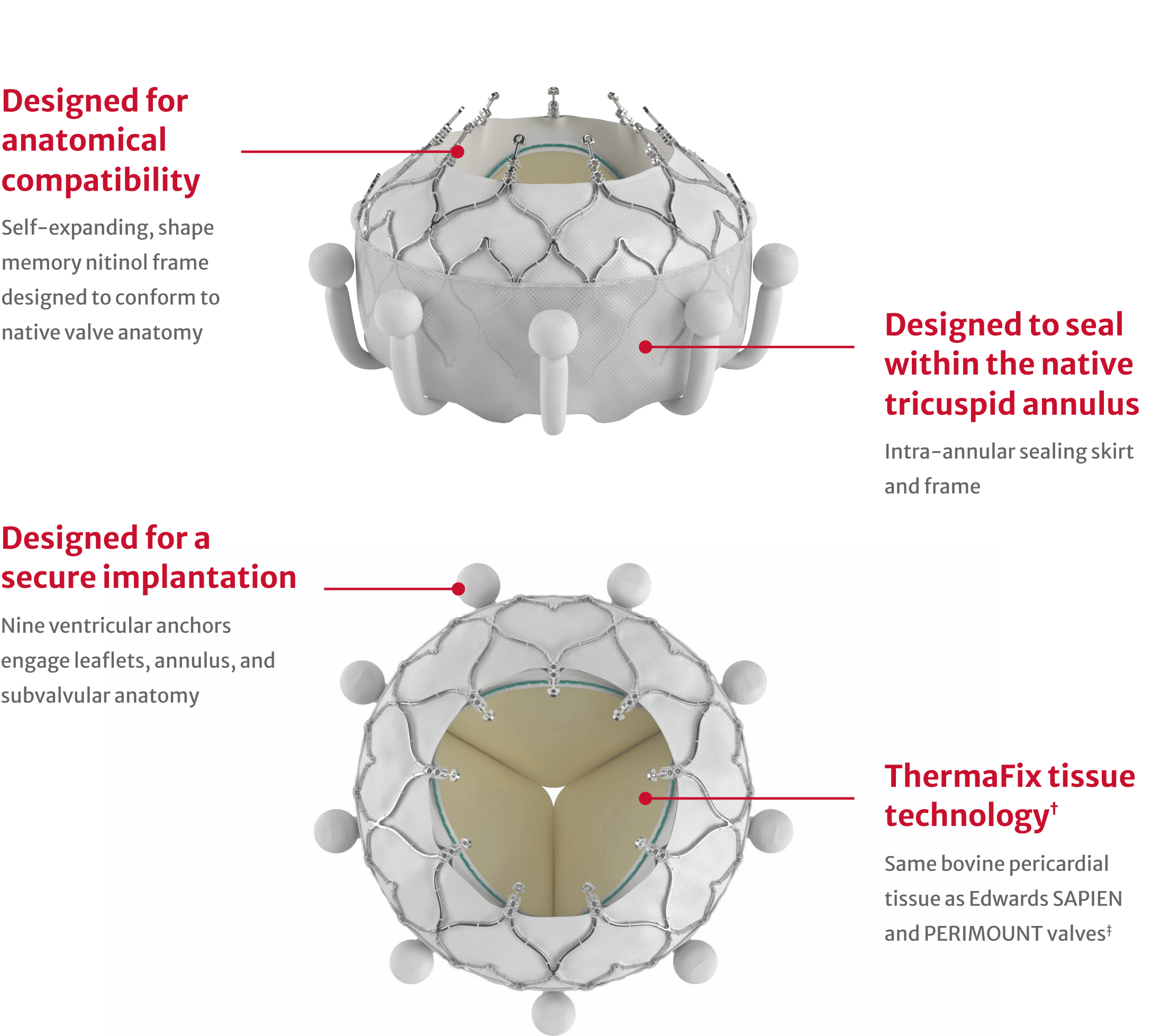 EVOQUE Valve