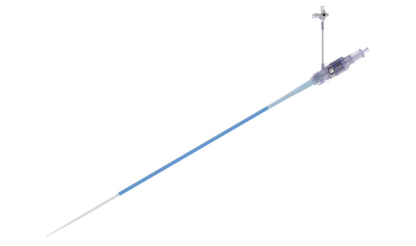 Transcatheter SAPIEN 3 Ultra info 2 image