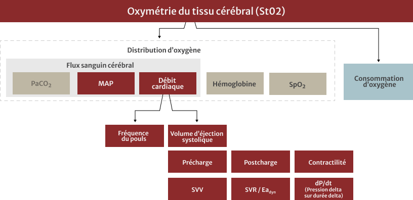 physiology chart