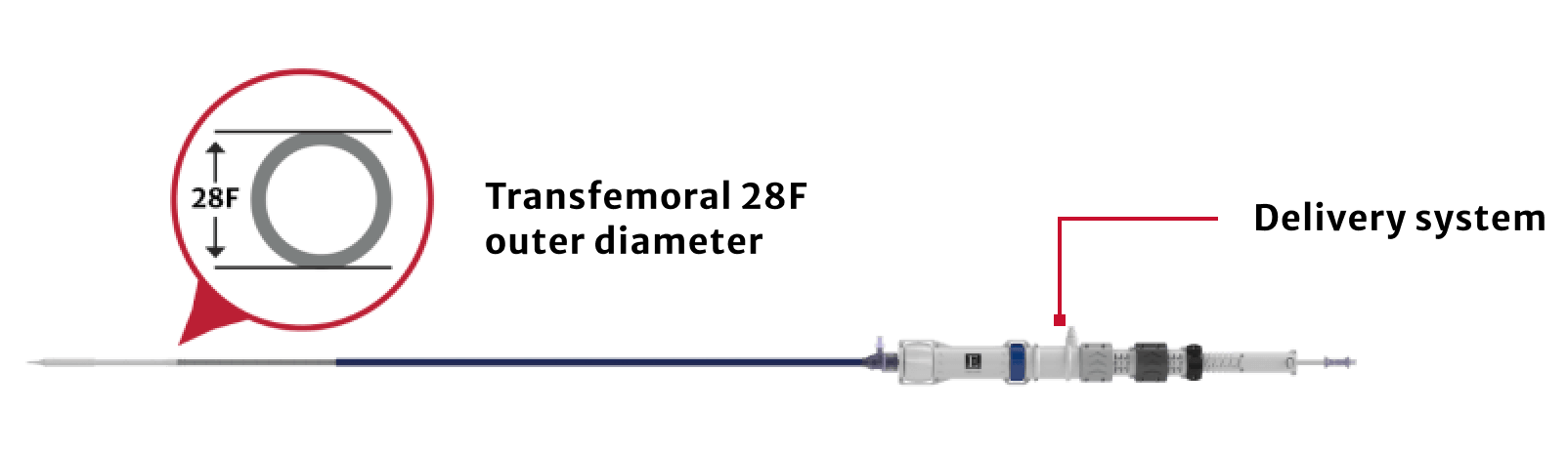 Transfemoral 28F Device