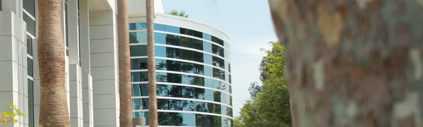 business banner