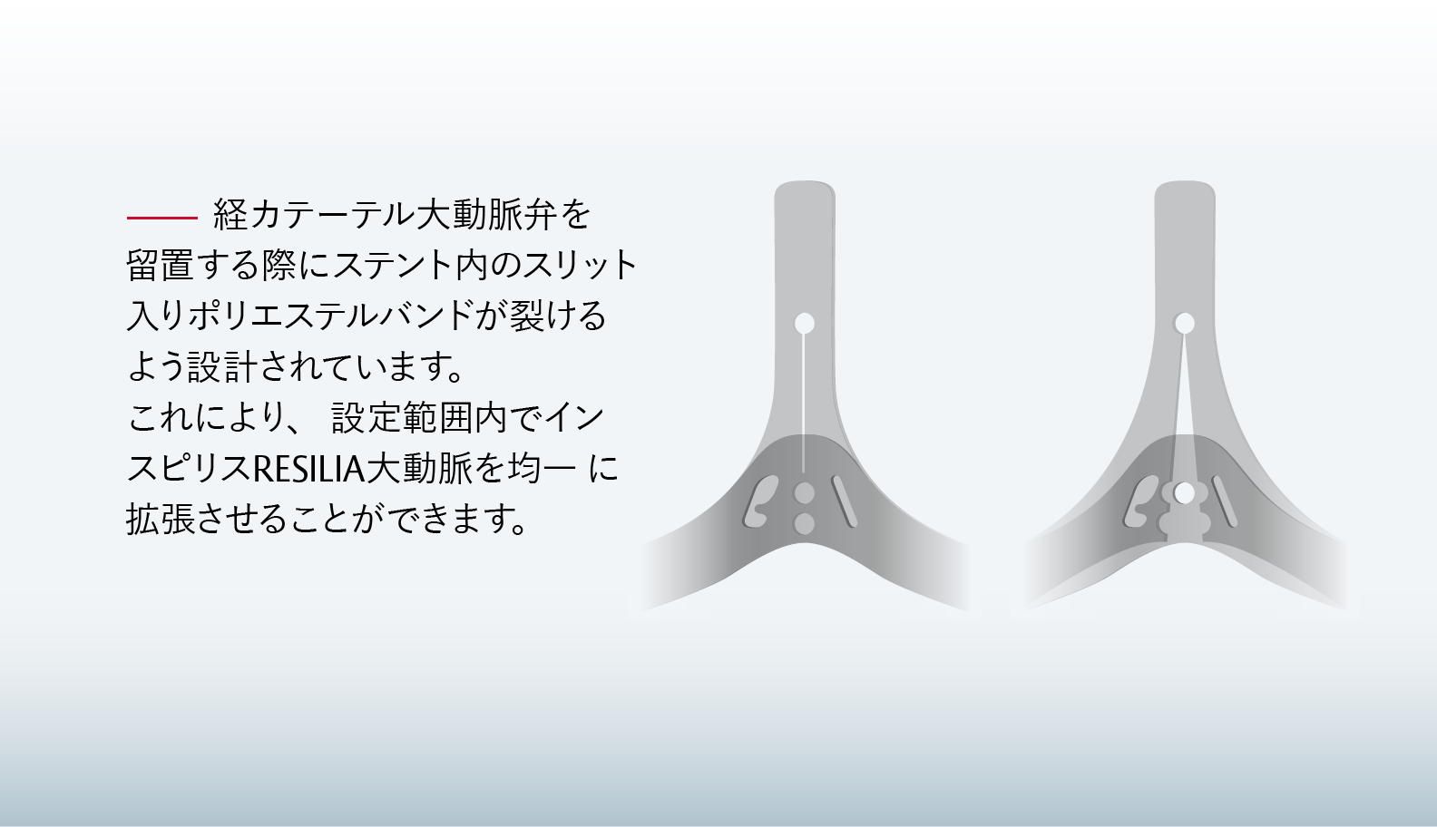 VFit3