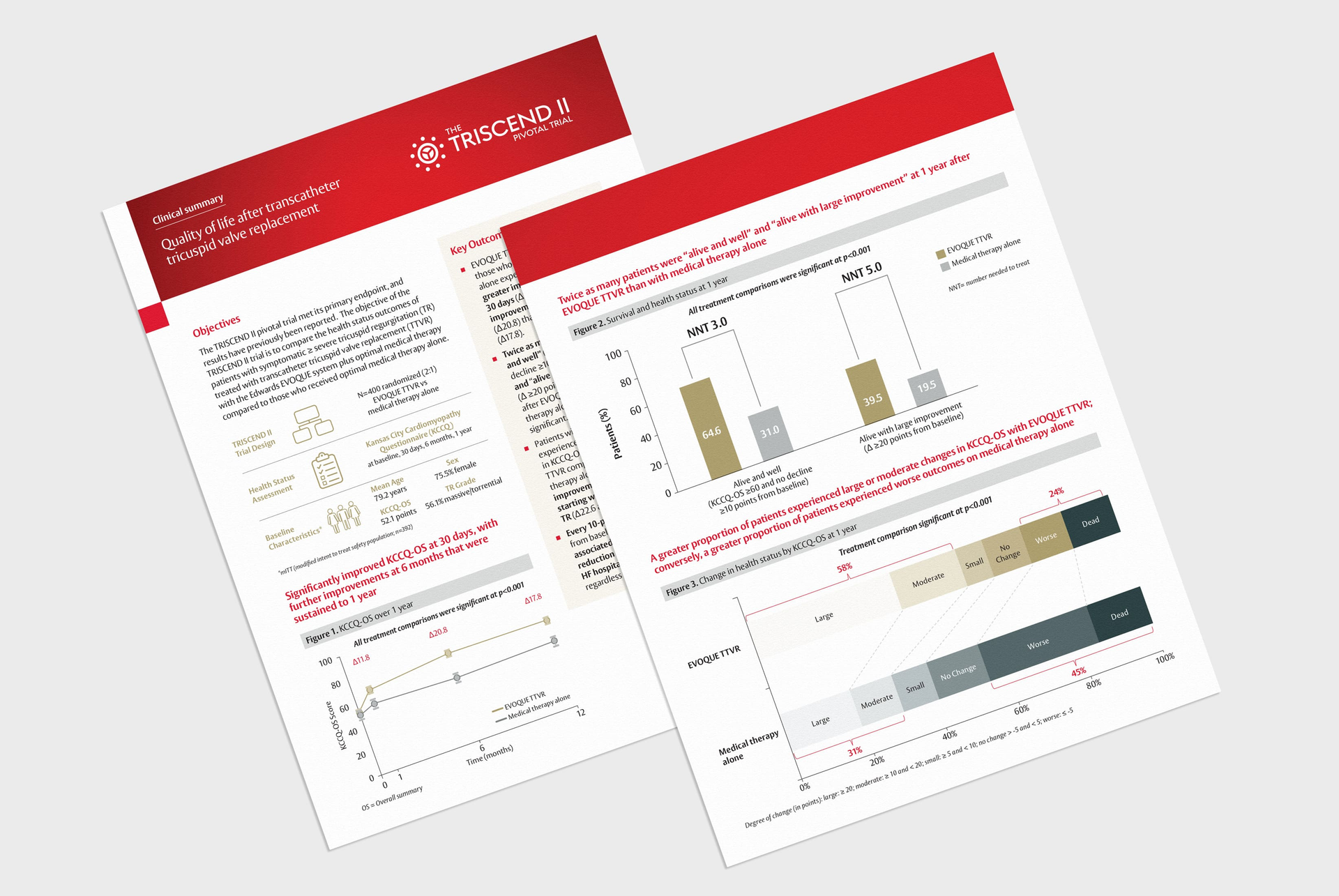 Triscend-II PDF Mock