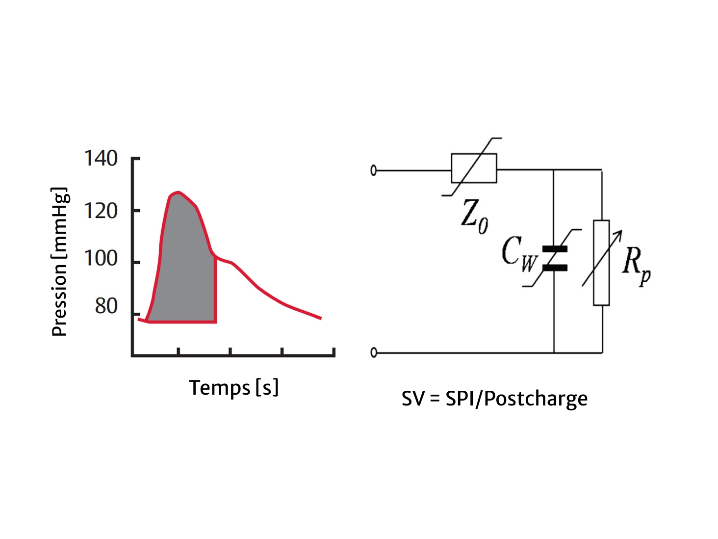 Cardiac output calculation