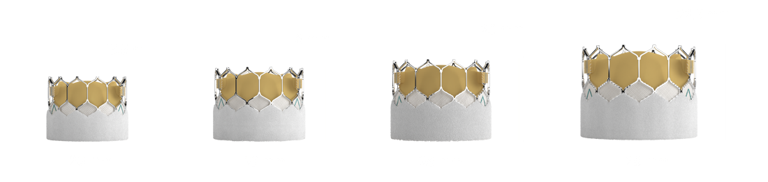 SAPIEN 3 ULTRA RESILIA sizes