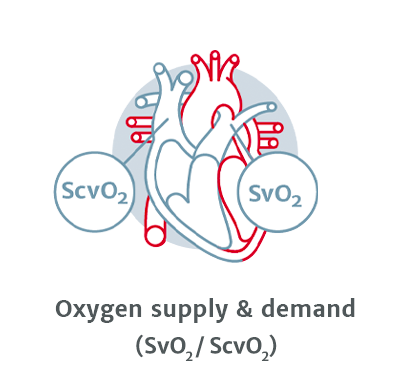 Oxygen supply & demand