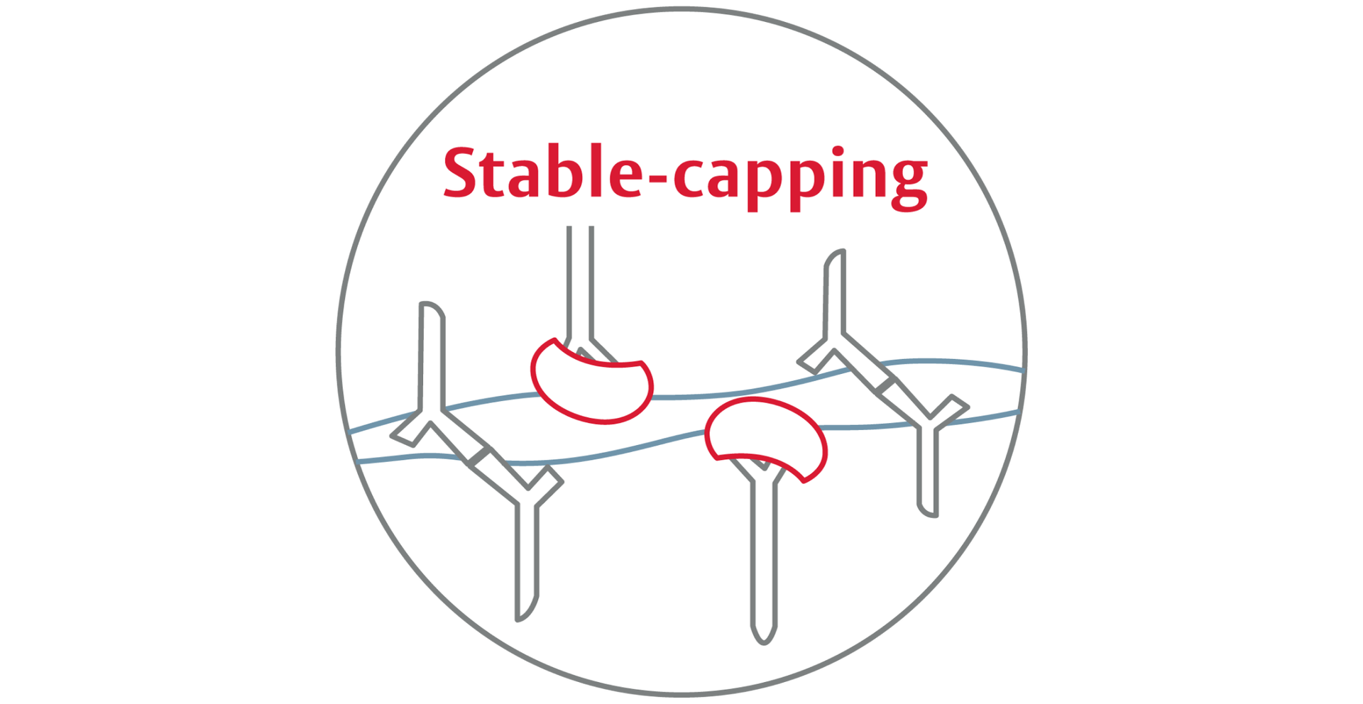 stable-capping