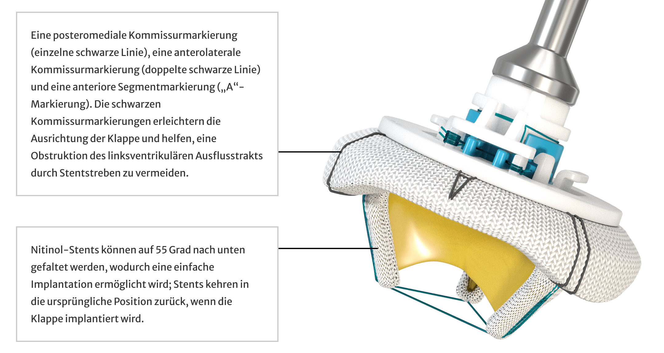 Mitris infographic