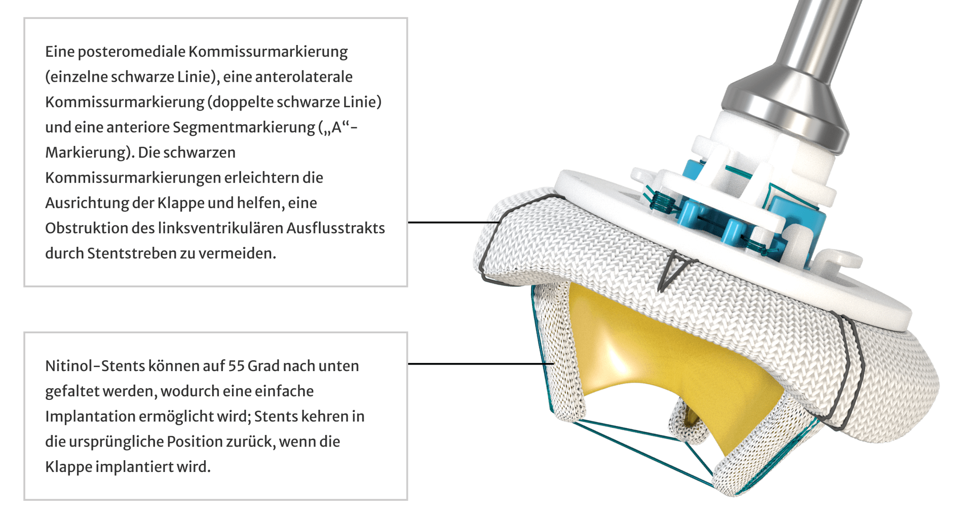 Mitris infographic