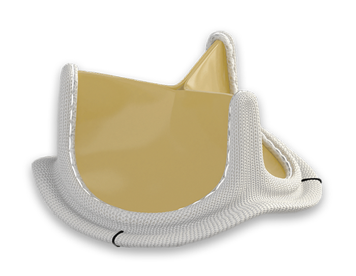 Surgical aortic heart valves