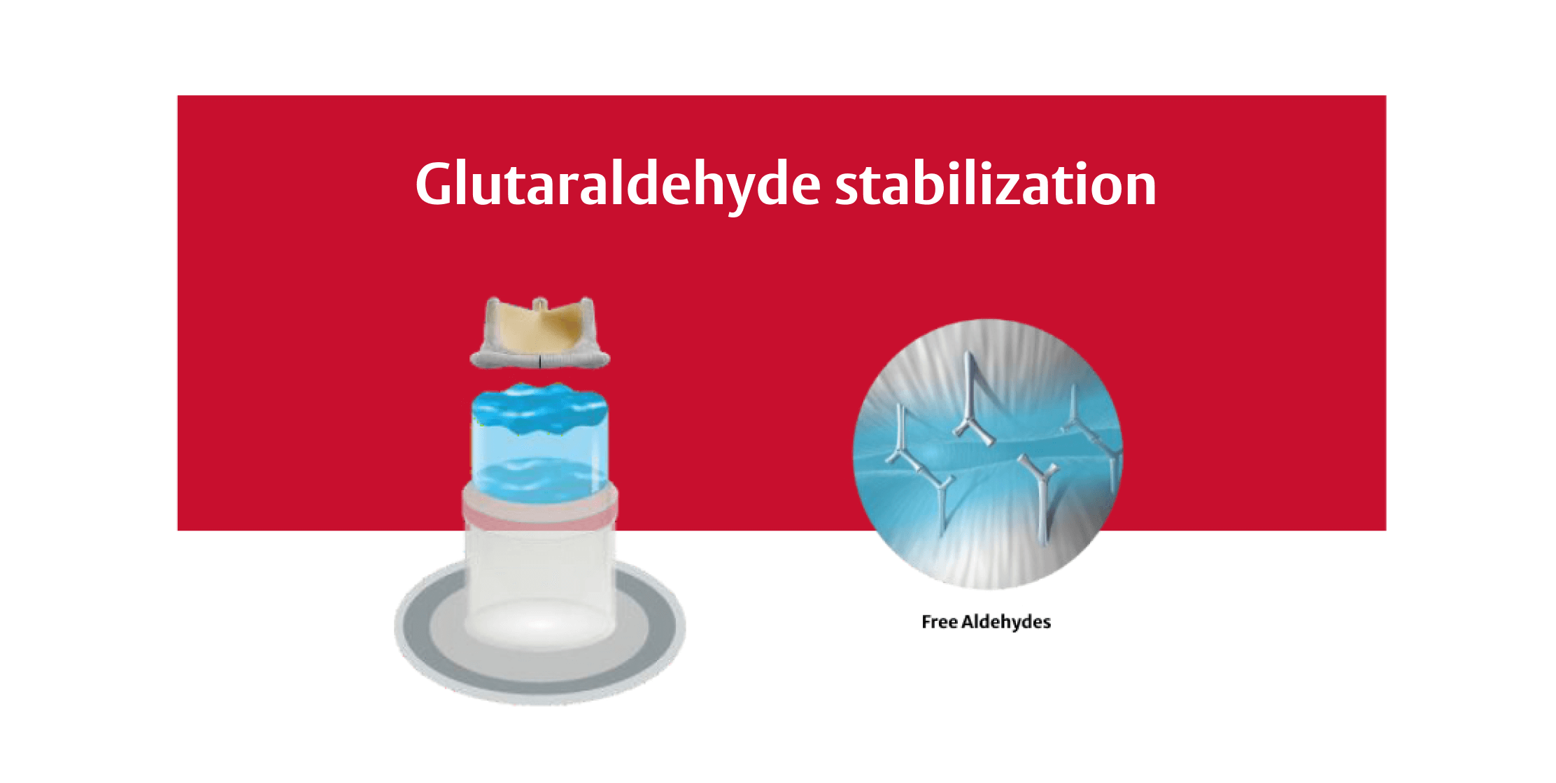glutaraldehyde saturation
