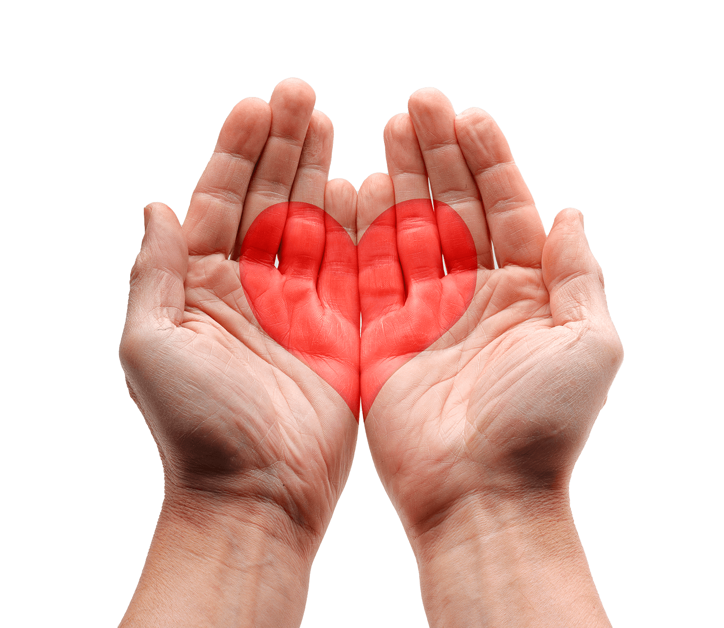 Hands holding heart