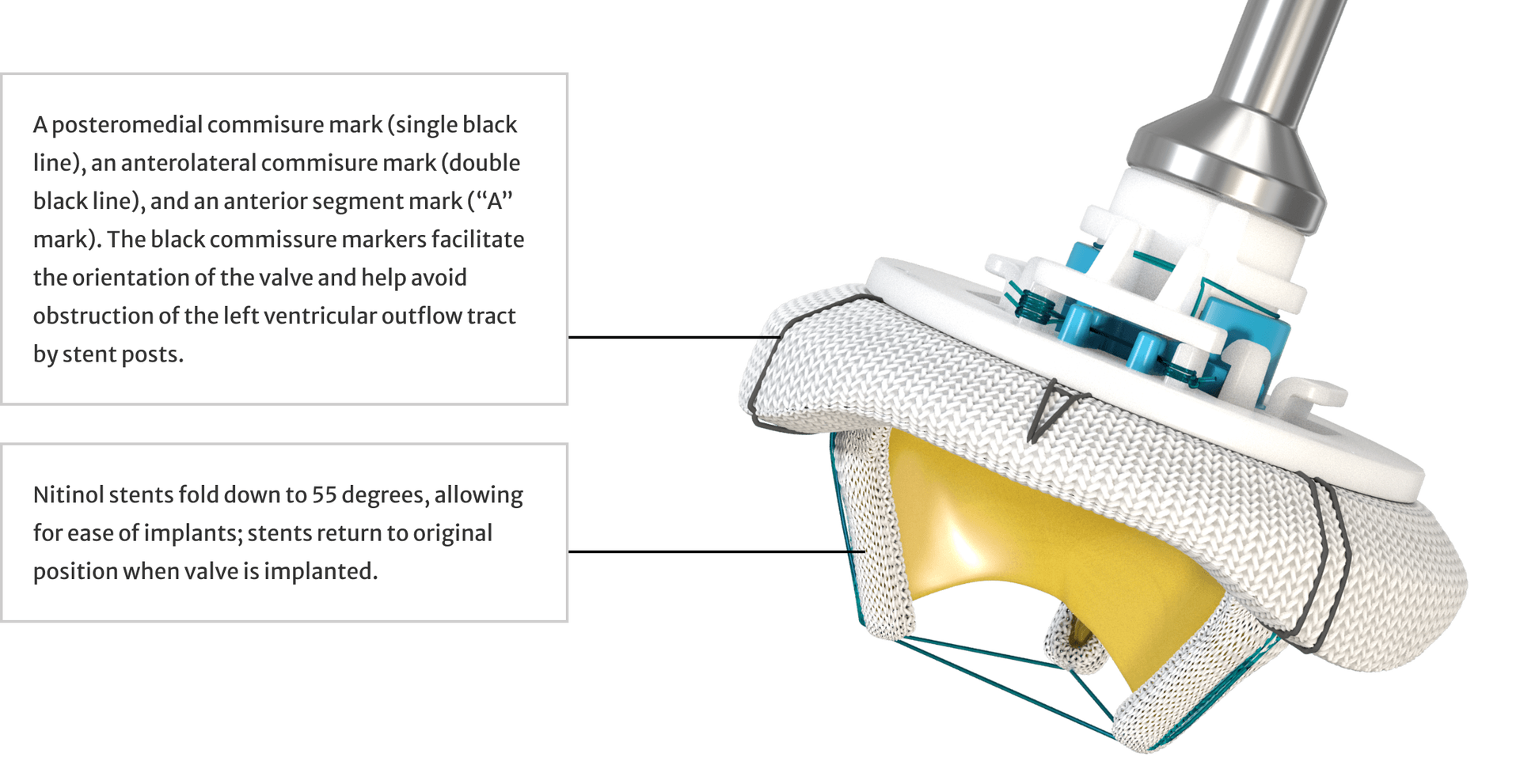 Mitris infographic