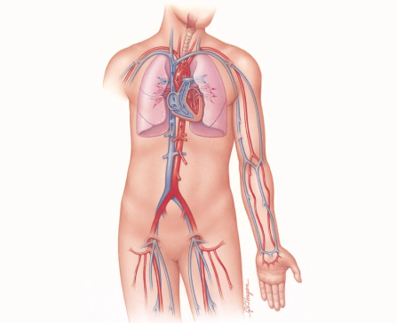 critical-care-photo1