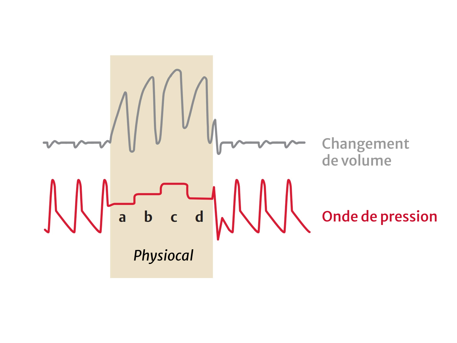 The Physiocal method - Physiological Calibration