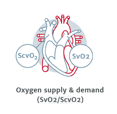 Oxygen supply & demand