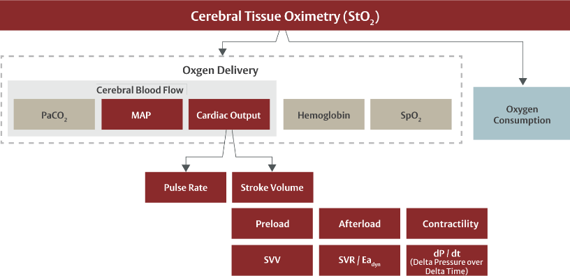 physiology chart