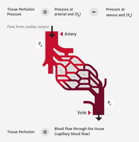 fluid graph
