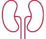 kidney icons