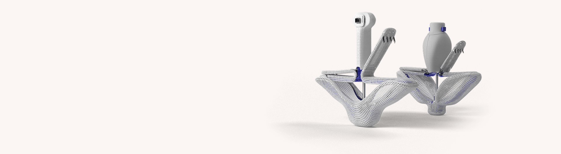 Pascal Platform