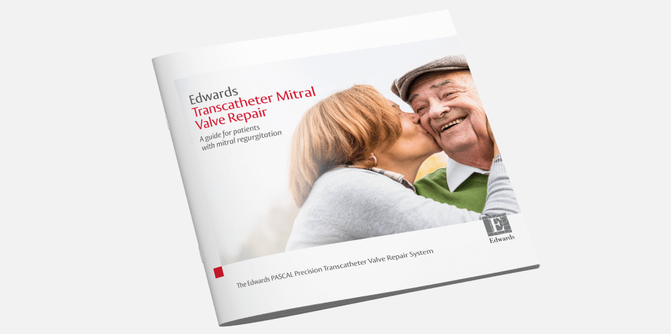 Pascal Precision Info Guide