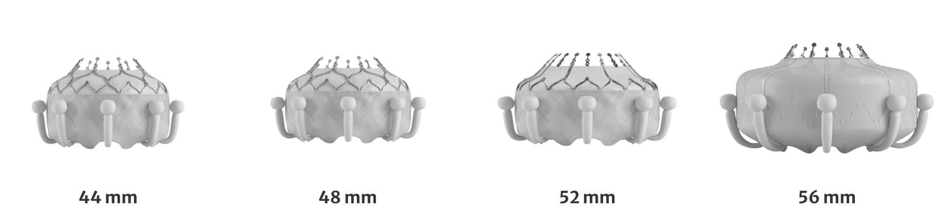 Multiple valve sizes