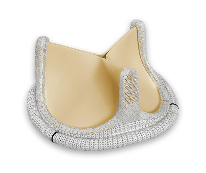 Aortic pericardial