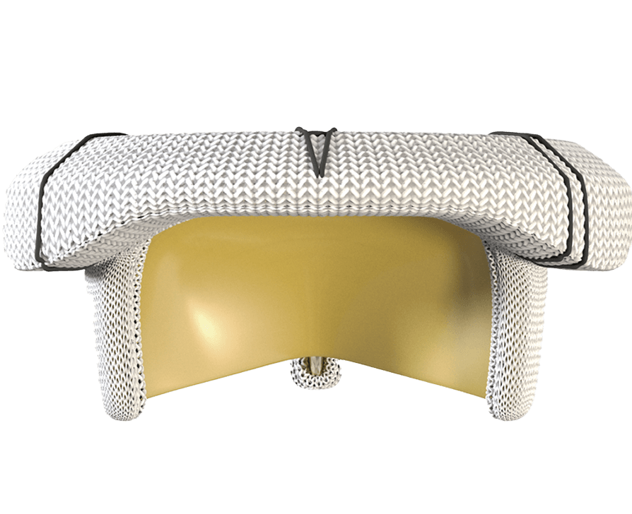 Tissue valve