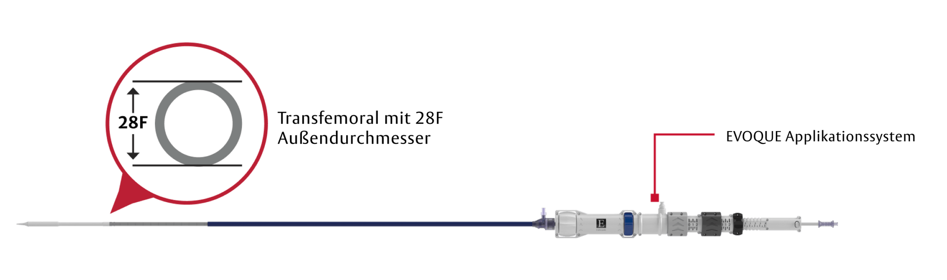 Transfemoral 28F Device