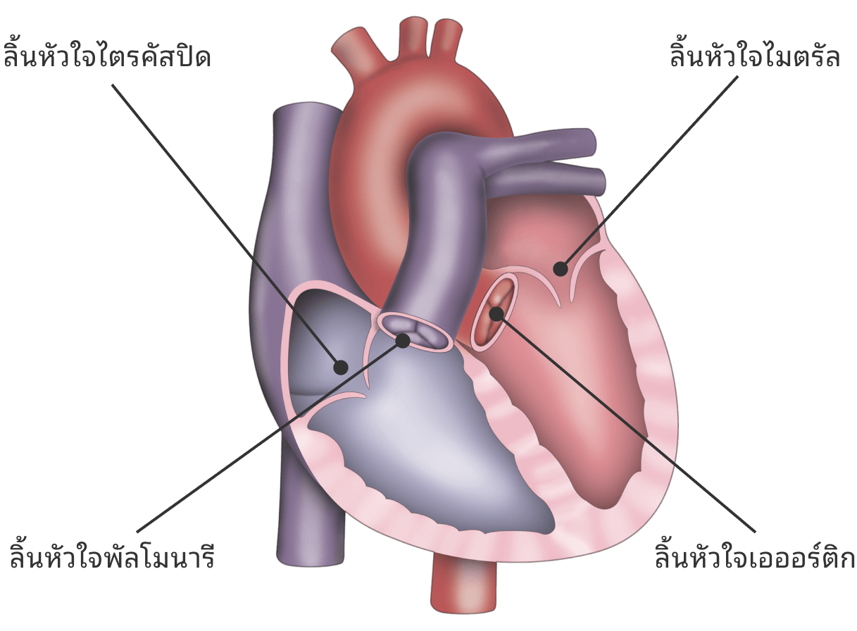 Heart valve