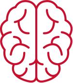 Cerebral brain