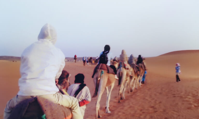 traveling on camels