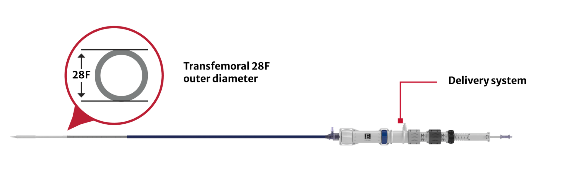 Transfemoral 28F Device