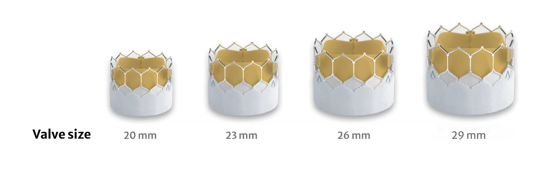 paravalvular leak skirt
