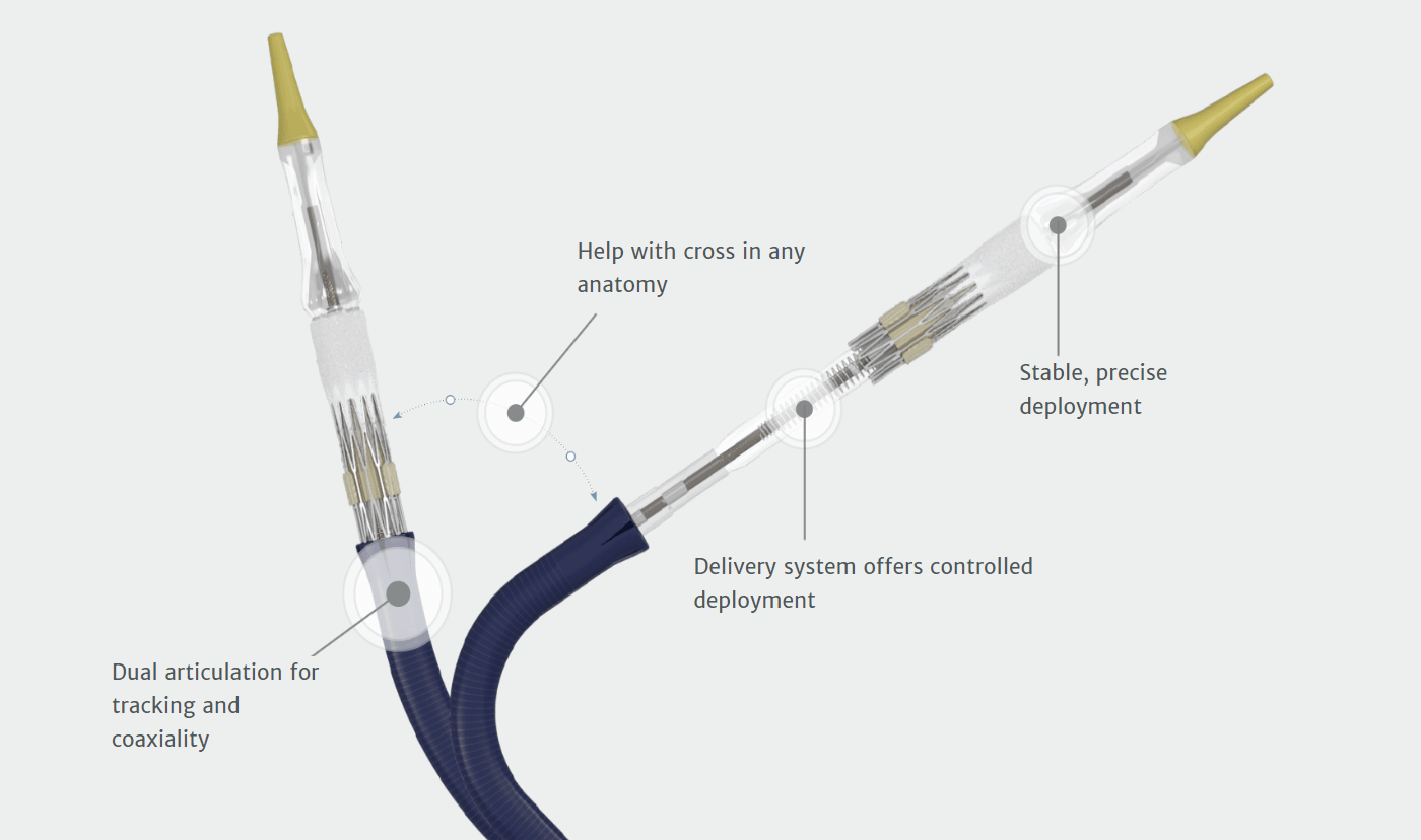Transcatheter SAPIEN 3 Ultra info 2 image