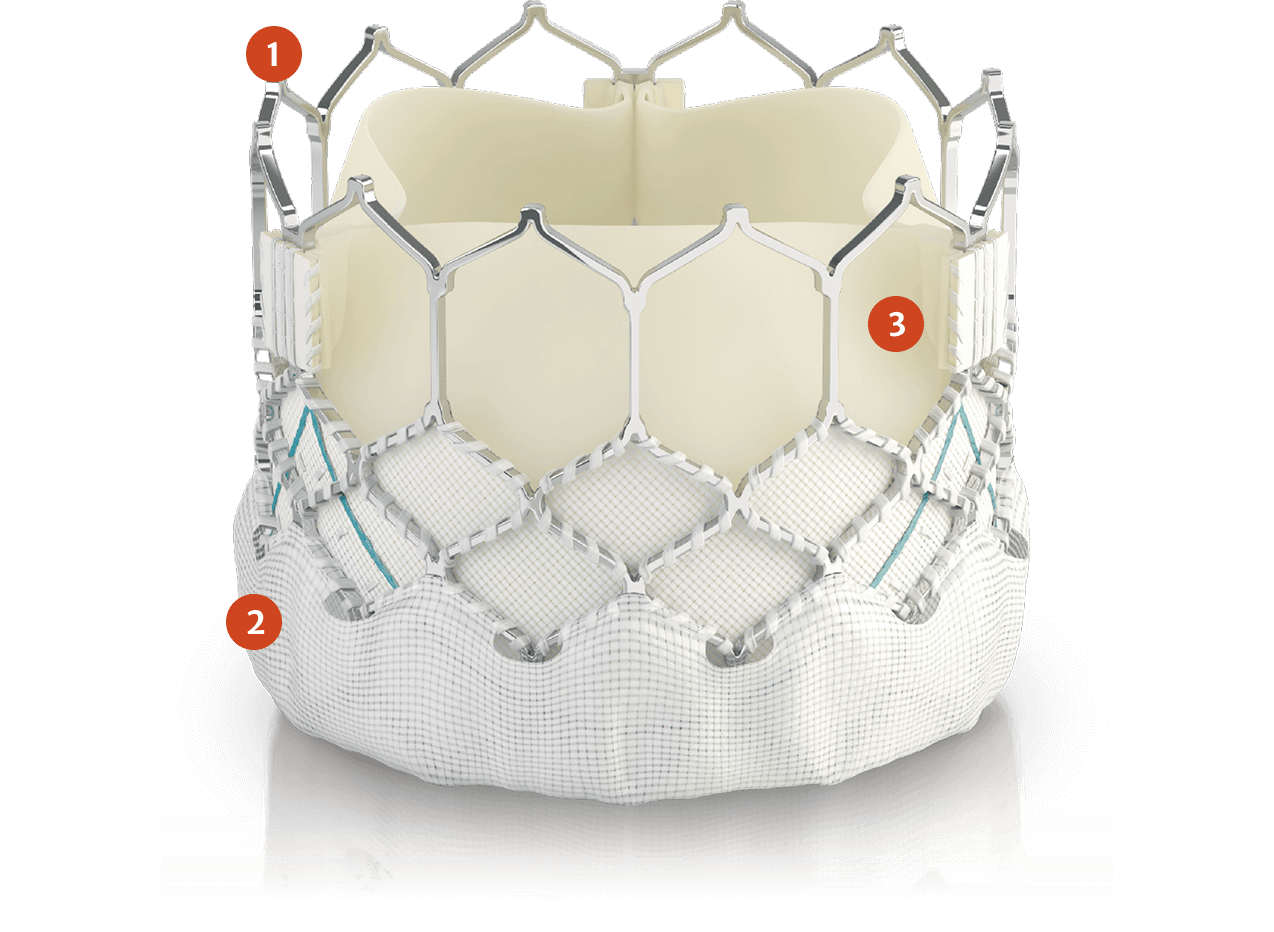 SAPIEN 3 valve