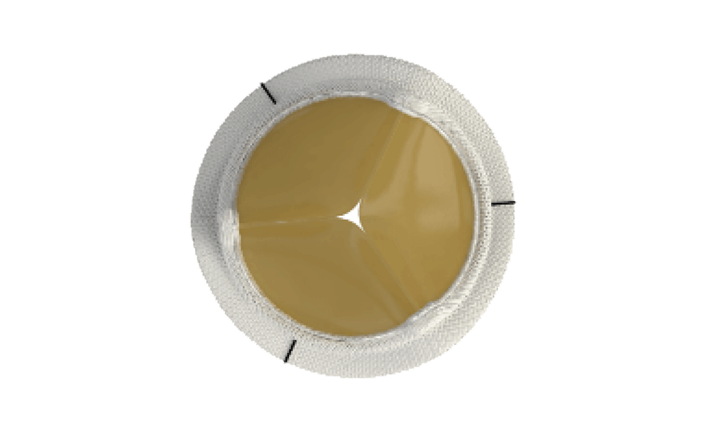 Bioprosthetic valves