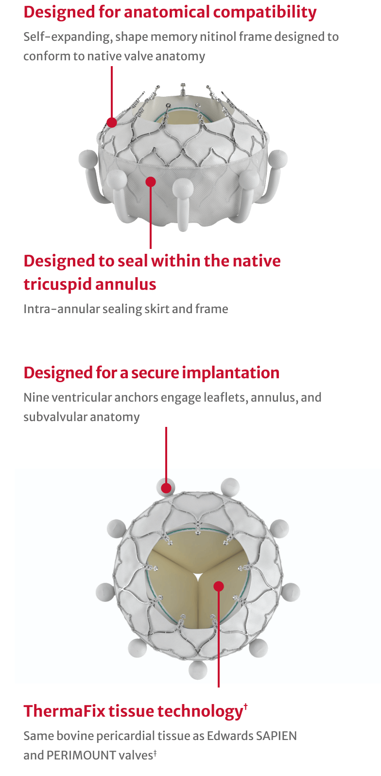 EVOQUE Valve