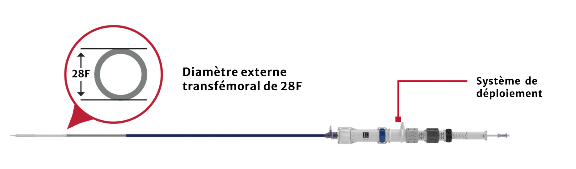 Transfemoral 28F Device